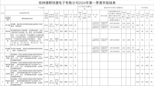 2024年第一季度申报报表